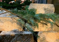 Weihnachtsmarkt In Jena 2019 00020